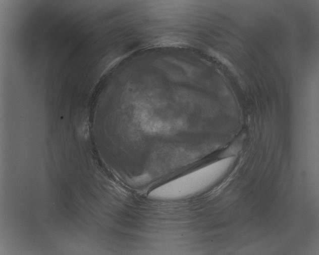 X0000073461306200608181255