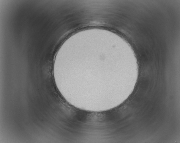 X0000073461314200608181255