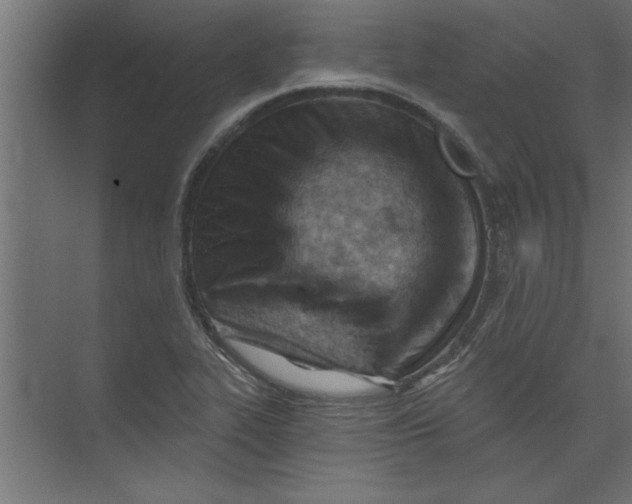 X0000073461319200608181255