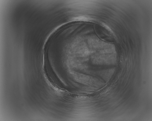 X0000073461323200608181255