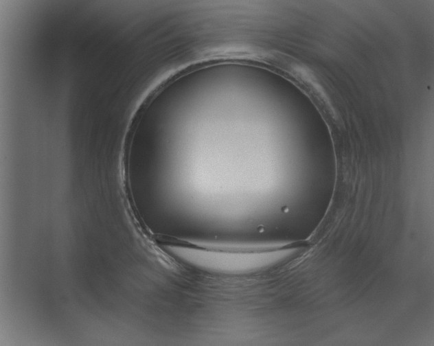 X0000073461328200608181255