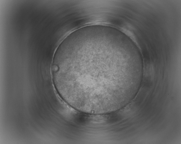 X0000073461338200608181255