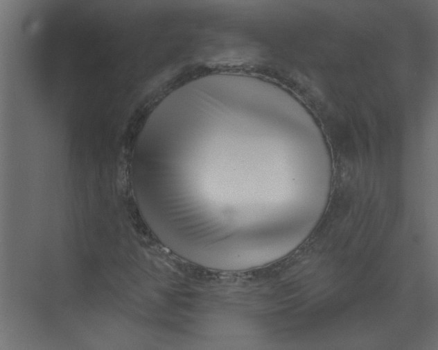 X0000073461350200608181254