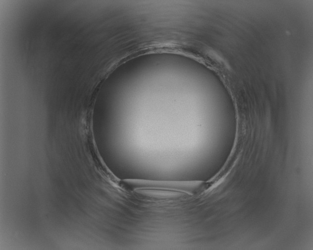 X0000073461353200608181254