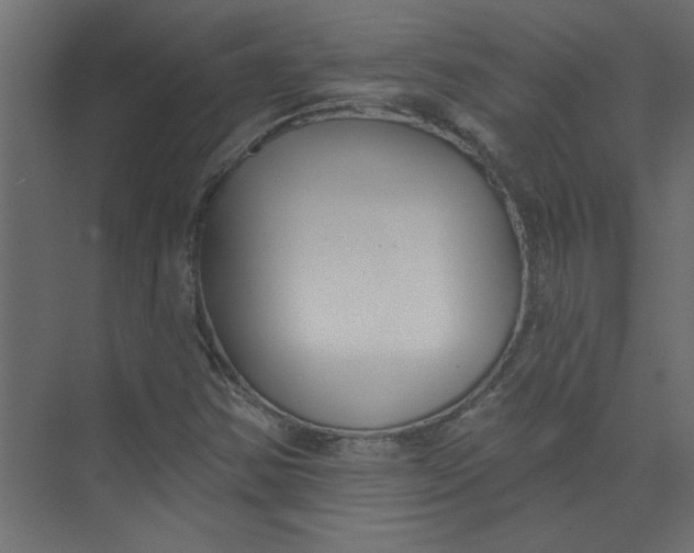 X0000073461354200608181254