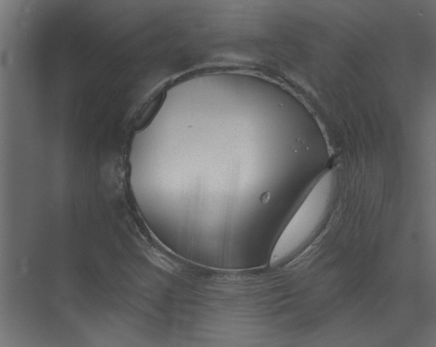 X0000073461355200608181254