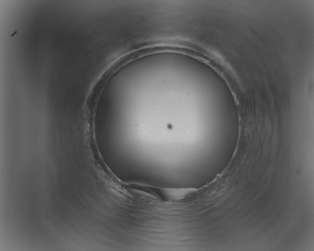 X0000073461360200608181254