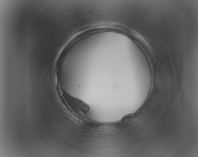 X0000073461368200608181254