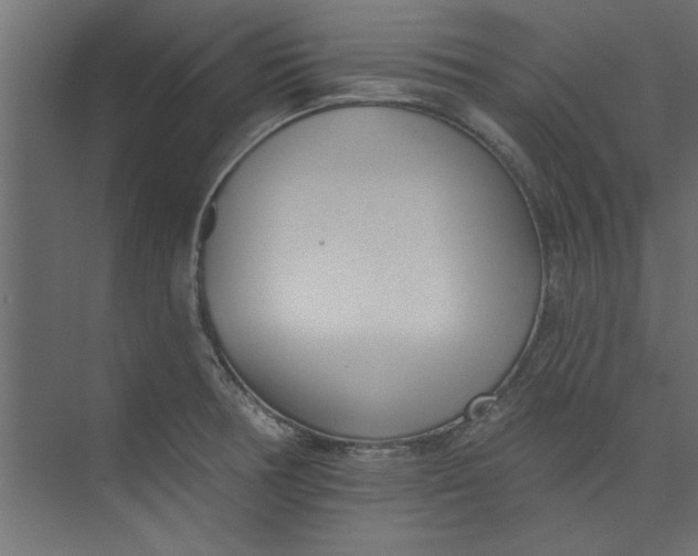 X0000073461378200608181254