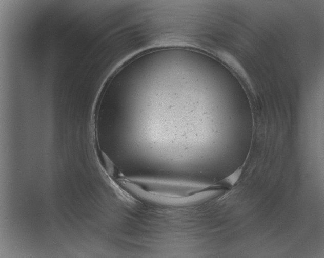 X0000073461380200608181254