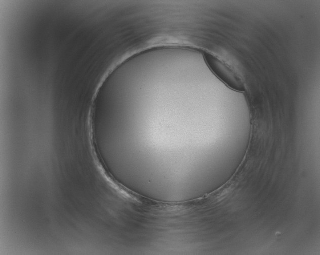 X0000073461382200608181254