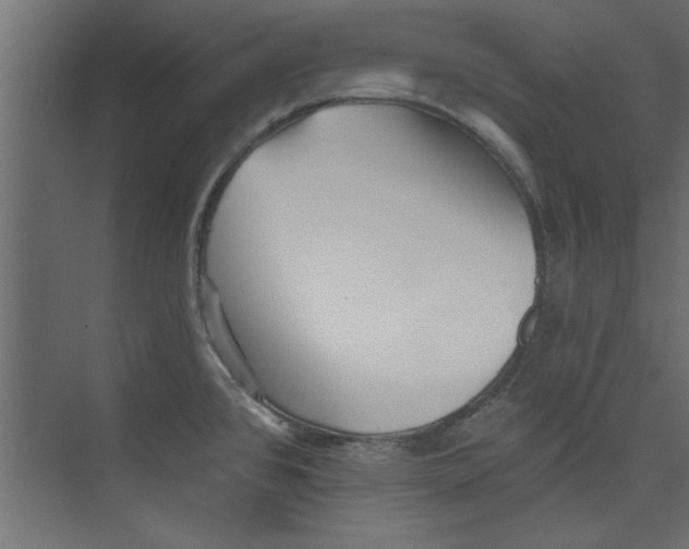 X0000073461384200608181254