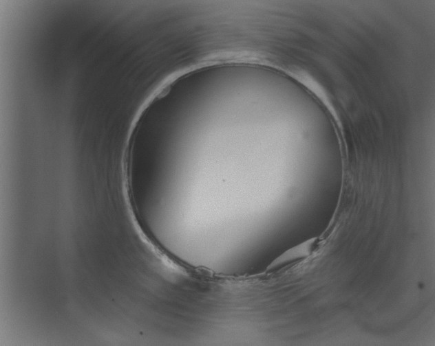 X0000073461389200608181254