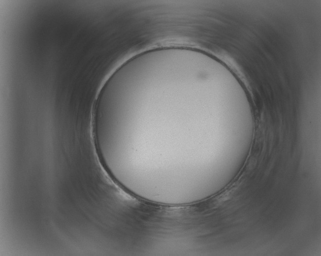 X0000073461390200608181254