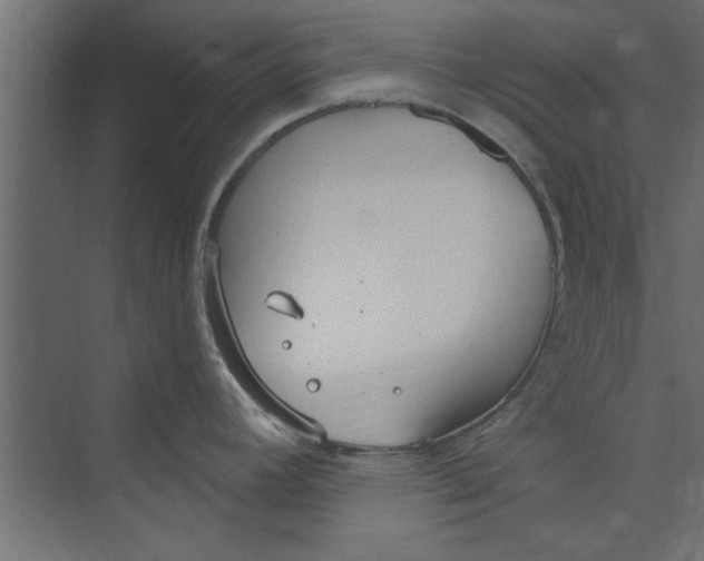 X0000073461392200608181254