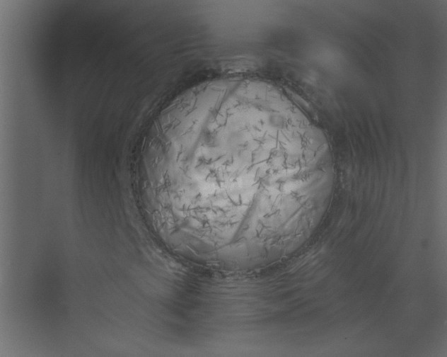 X0000073461393200608181253