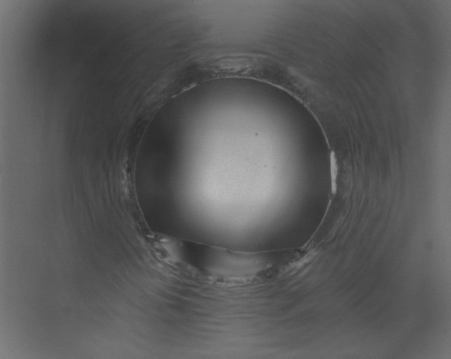 X0000073461394200608181253