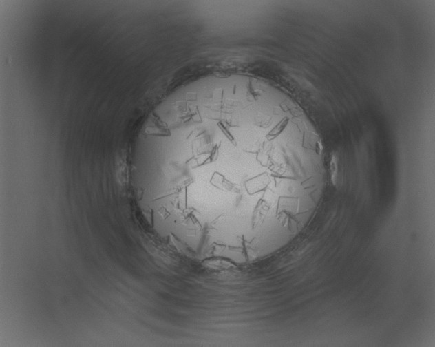 X0000073461395200608181253