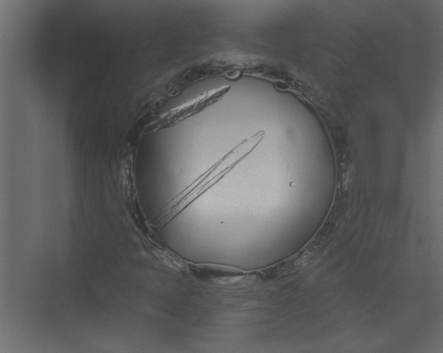 X0000073461397200608181253