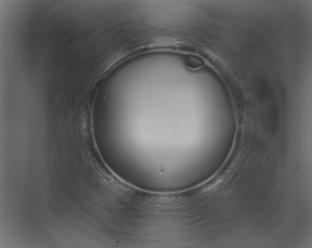 X0000073461401200608181253