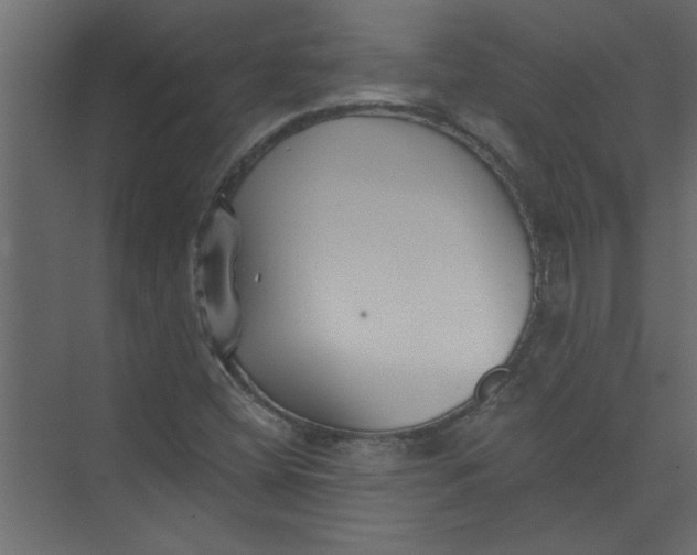 X0000073461404200608181253