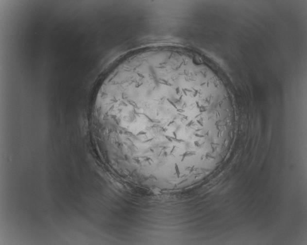 X0000073461407200608181253