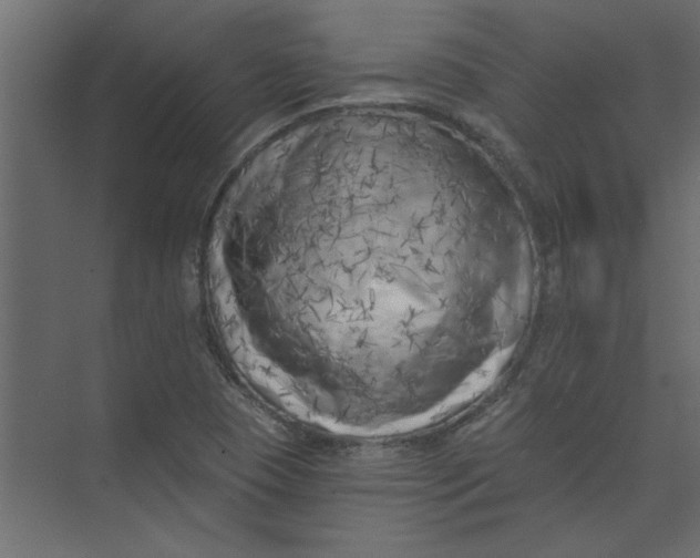 X0000073461409200608181253