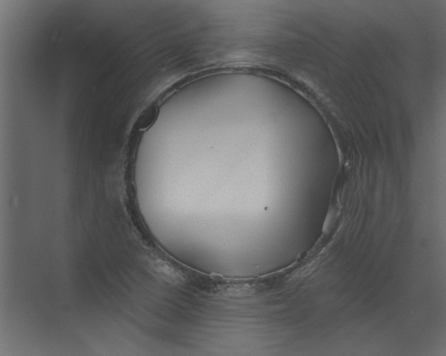 X0000073461410200608181253