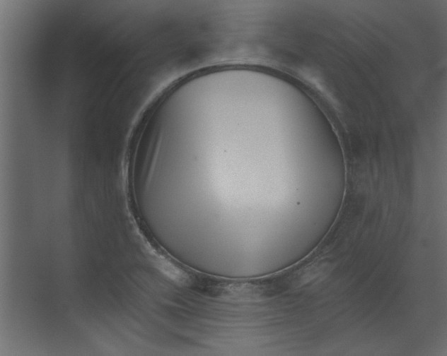 X0000073461416200608181253