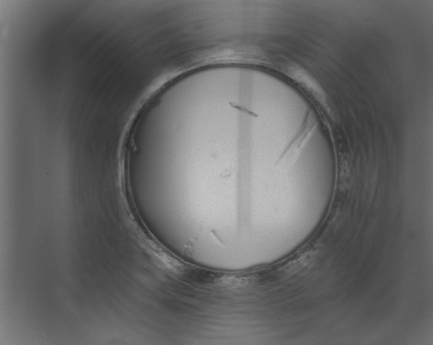 X0000073461419200608181253