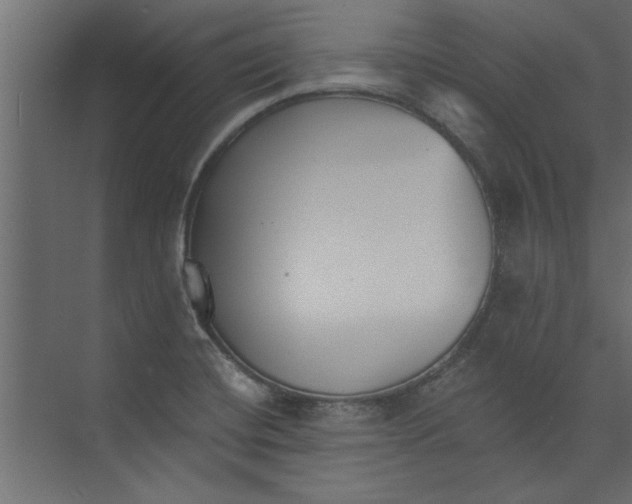 X0000073461420200608181253