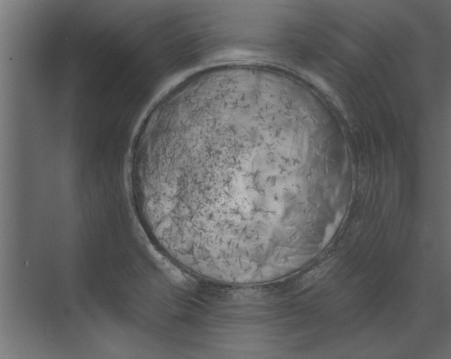 X0000073461421200608181253