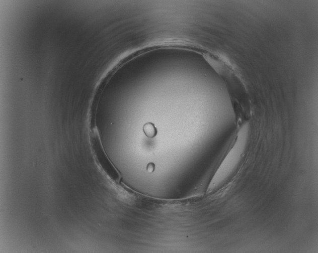 X0000073461422200608181253