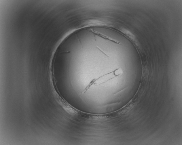 X0000073461427200608181253