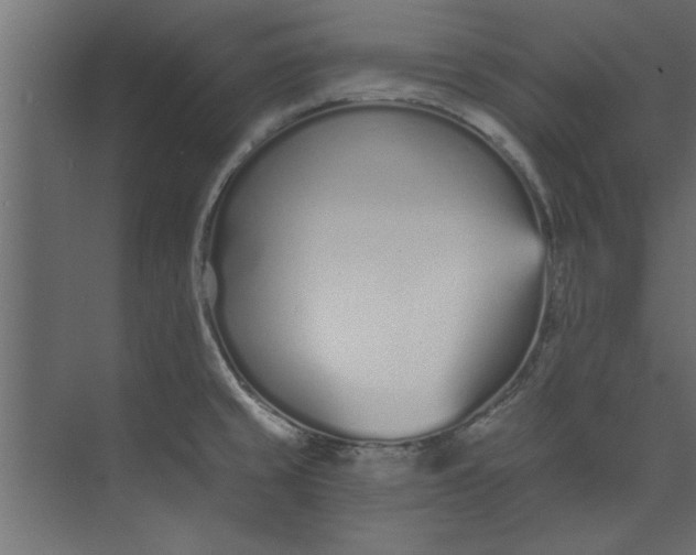 X0000073461429200608181253