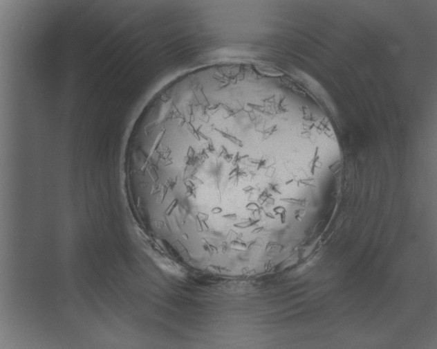 X0000073461435200608181254