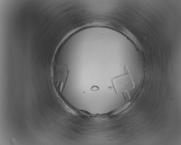 X0000073461436200608181254