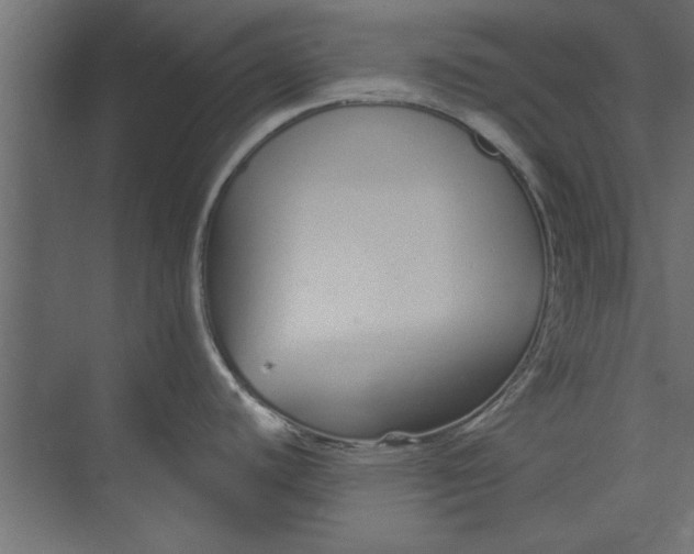 X0000073461440200608181254