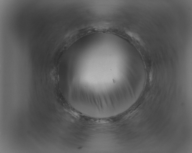 X0000073461445200608181253