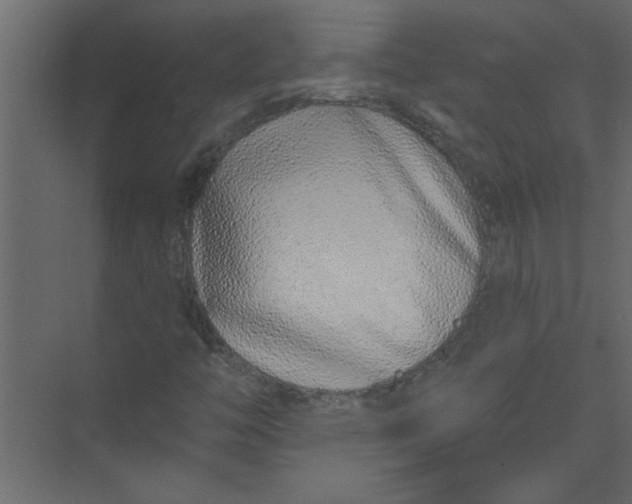 X0000073461446200608181253