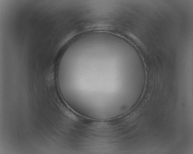 X0000073461450200608181253