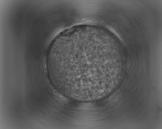 X0000073461455200608181253