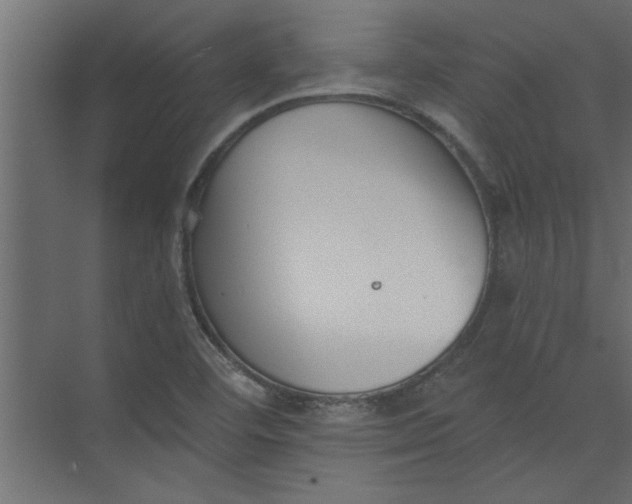 X0000073461460200608181253