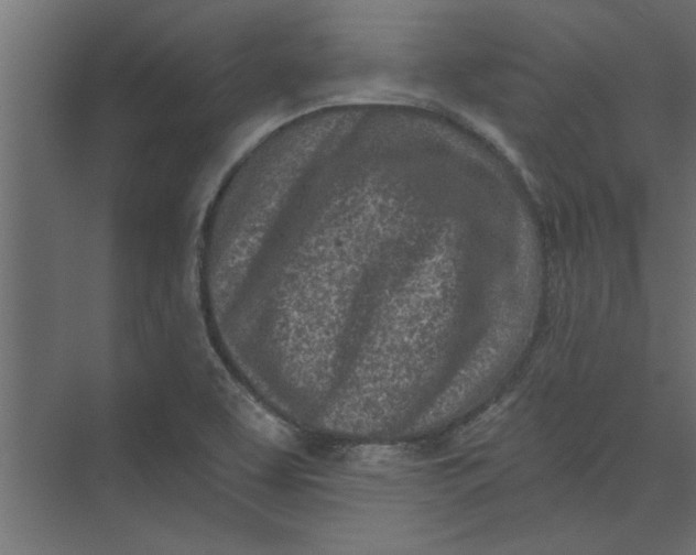 X0000073461463200608181252