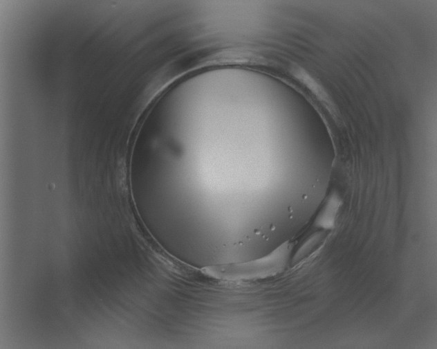 X0000073461465200608181252