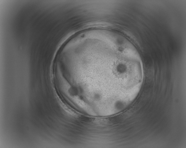 X0000073461466200608181252