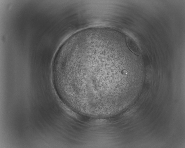 X0000073461467200608181252