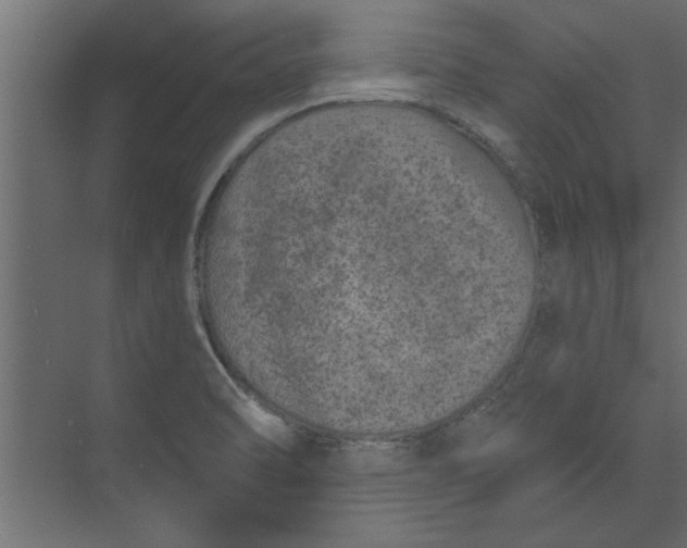 X0000073461470200608181252