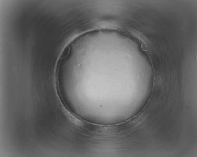 X0000073461471200608181252