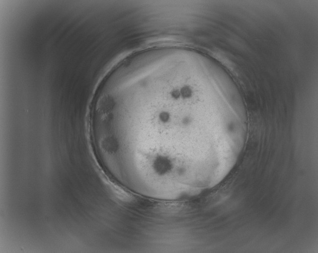 X0000073461474200608181252